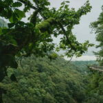Canyons and Cave tour from Kutaisi - Walking on the High Hanged Bridge of Okatse Canyon