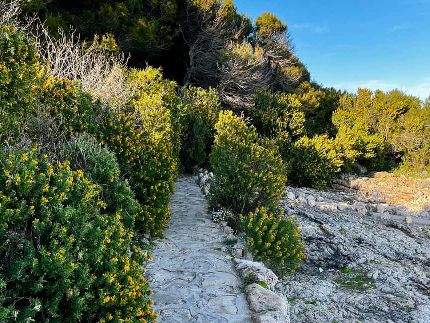 Cap dAntibes: Interactive Walking Tour with Quiz & Photos - Engaging with the Playful Quiz and Local Stories