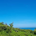 Cape of Rodon, Hiking to Castle, Beach, Wine testing tour! - Exploring Rodoni Castle and Its Defenses