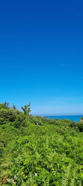 Cape of Rodon, Hiking to Castle, Beach, Wine testing tour! - Exploring Rodoni Castle and Its Defenses