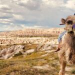 Cappadocia Camel Ride - The Scenic Beauty of Cappadocia Valleys on Camelback