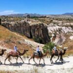 Cappadocia: Camel Safari - From the Old Caravanserais to the Valleys
