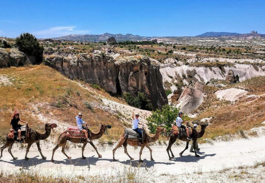 Cappadocia: Camel Safari - From the Old Caravanserais to the Valleys