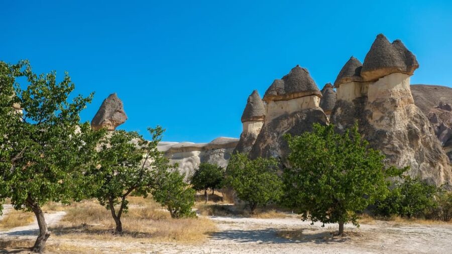 Cappadocia Excursion: Full-Day South Tour with Expert Guide - Starting the Day with Cavusin Village and Red Valley Views