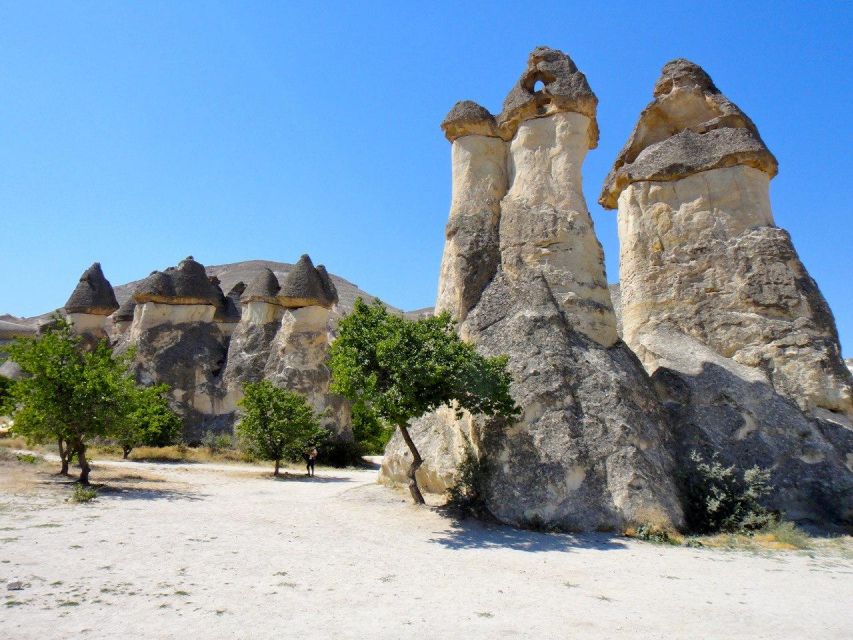 Cappadocia: Guided Full-Day Private Cappadocia Tour - Exploring Fairy Chimneys at Pasabag Museum