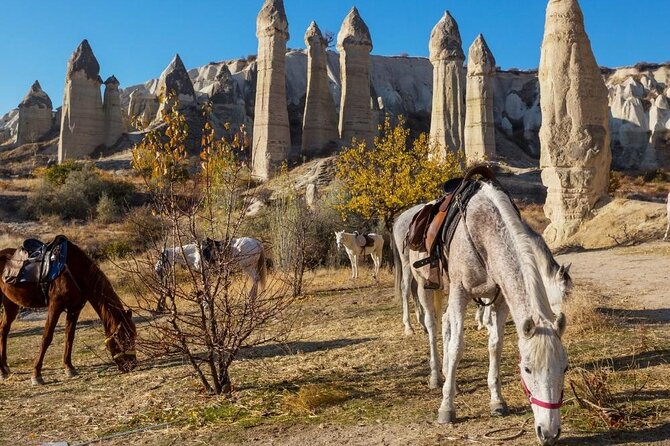 Cappadocia Horse Riding Experience Sunrise Sunset Daytime - Starting Point Near Goreme’s Famous Open-Air Museum