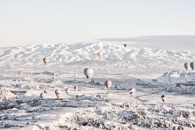 Cappadocia - Horseback Riding in Winter Wonderland - The Horses: Champions Retired in Comfort