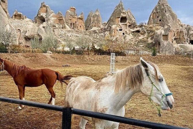 Cappadocia Horseback Riding Tour (Transfer Included) - Guided Instructions for First-Time Riders