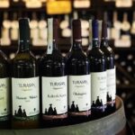 Cappadocia: Private Day Tour with Wine Tasting - Excursion Begins with Hotel Pickup and Comfortable Transport