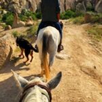 Cappadocia: Sunset Horseback Riding Tours w' Fairy Chimneys - From the Valley of Swords to Cavusin Village