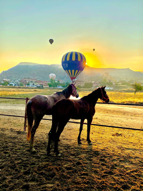Cappadocia's Sunrise Horseback Riding - Starting the Day with Sunrise Horseback Riding in Cappadocia