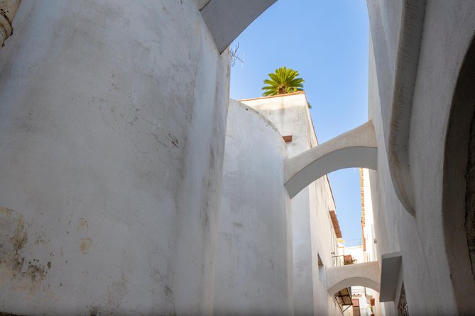 Capri and Blue Grotto Day Tour from Naples or Sorrento - Cruising to Capri and the Blue Grotto Experience