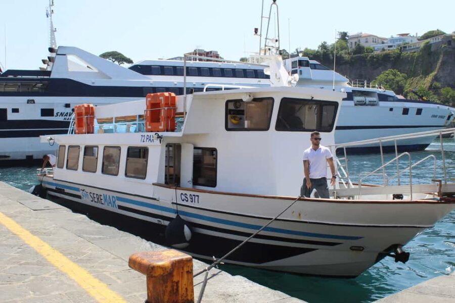 Capri: Blue Cruise with Guide from Sorrento, C.Stabia,Seiano - Cost and Value Compared to Other Capri Tours