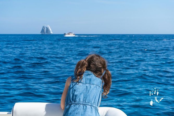 Capri excursion shared from Sorrento - Departure from Sorrentos Marina Piccola at 9:00 am