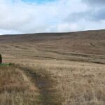 Cardiff: Brecon Beacons & Waterfall Country Private Voyage - Exploring Welsh Villages: Pontneddfechan and Abercraf