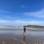 Cardiff: Gower Peninsula's Cliffs Scenic Day Tour - Rhossili Bay: The Crown Jewel of the Gower Peninsula