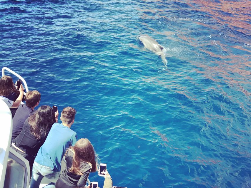 Cargèse: Scandola and Piana Boat Tour with Stop at Girolata - Starting Point at Croisieres Grand Bleu in Cargèse