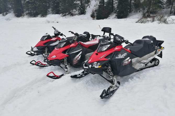 Carpathian mountains Snowmobile, ATV or Buggy tour in one day - Exploring the Scenic Stops: Peles Castle and Azuga