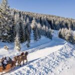 Carriage or Sleigh Ride with Picnic Basket in Covasna County - The Authentic Horse-Drawn Carriage and Sleigh Rides