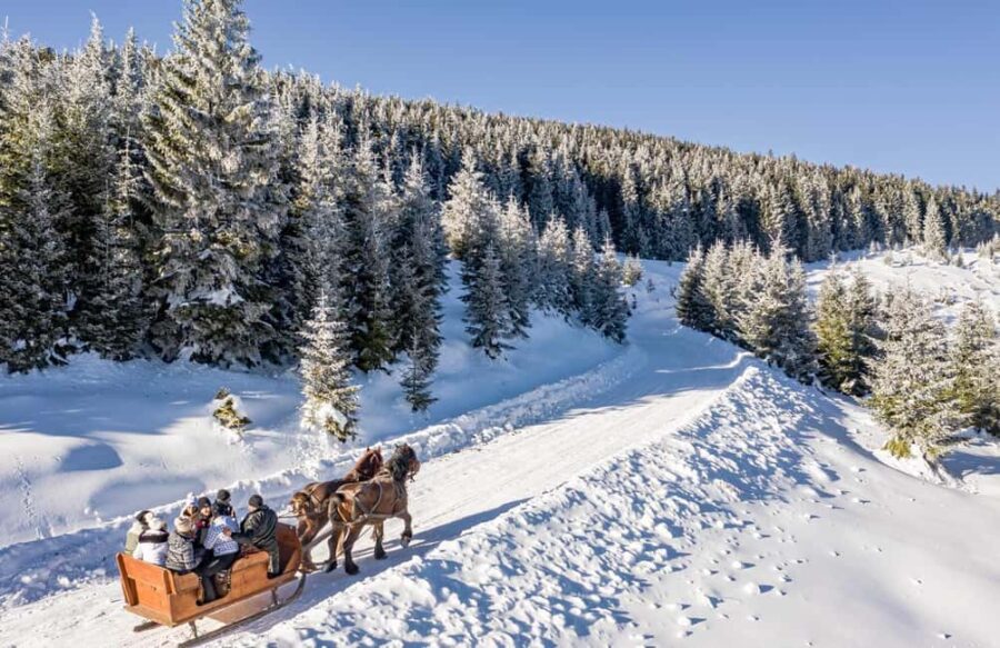 Carriage or Sleigh Ride with Picnic Basket in Covasna County - The Authentic Horse-Drawn Carriage and Sleigh Rides