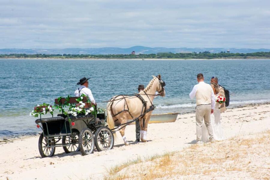CARRIAGE Ride On The Beach (Rosário Beach) - Starting Point at Rua 1º de Maio and Meeting Details