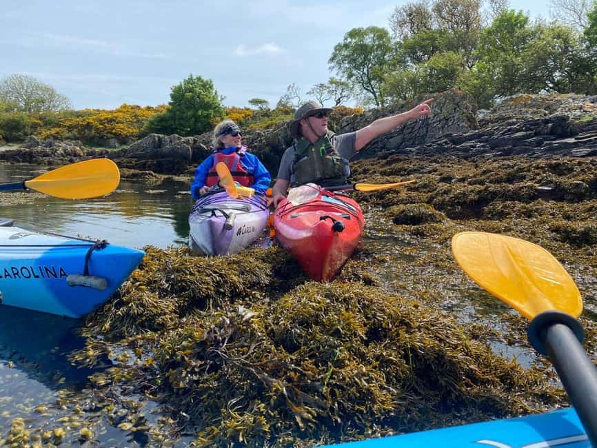 Carrick: Kayak Experience on the River Girvan - Meeting Point at Carrick Harbour