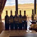 Casa Emma Wine Tasting - The Scenic Setting of Casa Emma’s Vineyard Terrace