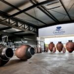 Casa Relvas, Évora - Visit to the Winery with Tasting of 3 wines and snacks - Visiting the Casa Relvas Production Cellar