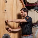 Casa Relvas, Évora - Visit to the Winery with Tasting of Portuguese Grape Varieties and Tapas - The Casa Relvas Setting and Atmosphere