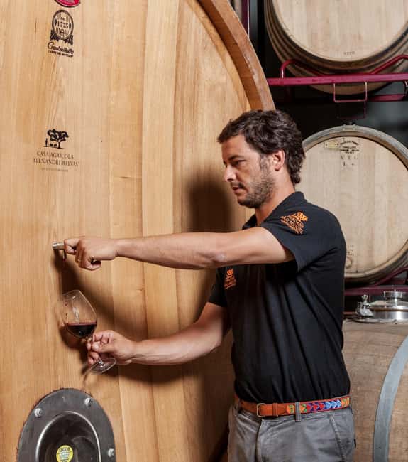 Casa Relvas, Évora - Visit to the Winery with Tasting of Portuguese Grape Varieties and Tapas - The Casa Relvas Setting and Atmosphere