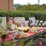 Casalnoceto: Winery Tour with Wine Tasting & Local Food - Key Points