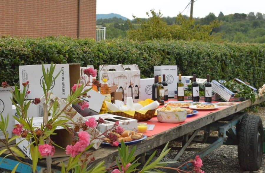 Casalnoceto: Winery Tour with Wine Tasting & Local Food - Key Points