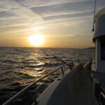Cascais: Sunset Boat Trip with Welcome Drinks - The Boat and Onboard Comfort