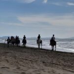 Castagneto Carducci: Horseback Riding Experience in Tuscany - Exploring the 1-Hour Ride Through Pine Forests