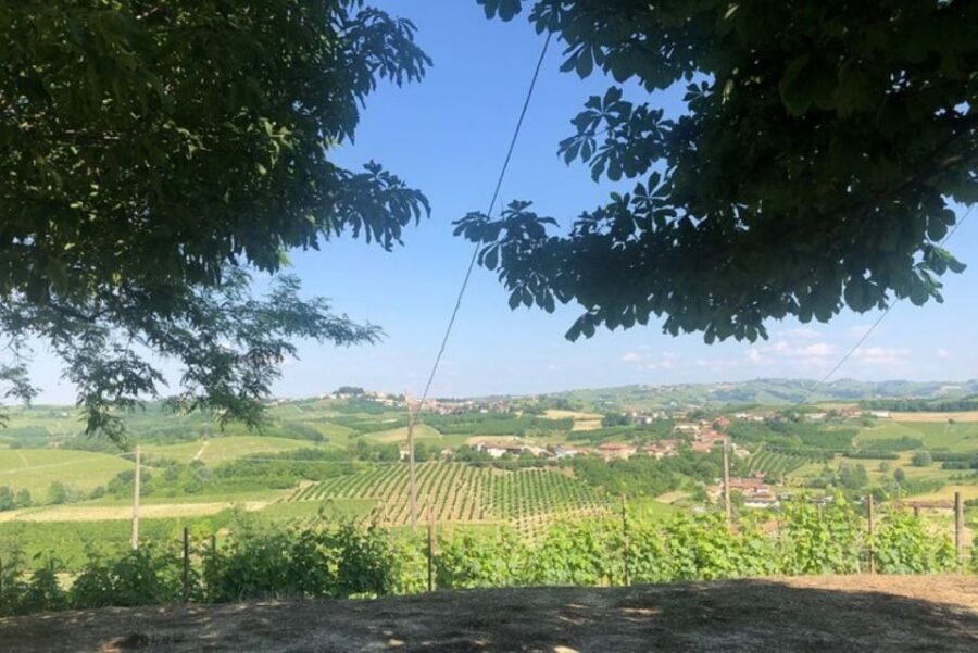 Castagnole delle Lanze: Saffron Walking Tour w/ Wine & Food - Starting Point and Tour Logistics in Castagnole delle Lanze