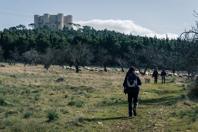 Castel del Monte: excursion in the Alta Murgia National Park - Starting Point: Meeting at Castel del Monte SS 170, Andria