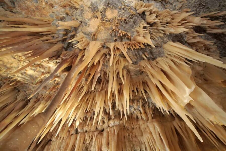 Castellana Grottoes: Official Guided Tour with Entry Ticket - The Structure of the Cave System and Key Stops