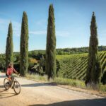 Castellina in Chianti: E-Bike Rental in the Tuscan Hills - Full-Day E-Bike Rental: Freedom to Explore