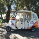 Castelo Branco City Tour - Discovering Castelo Branco’s Cultural and Religious Sites