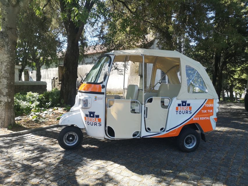 Castelo Branco City Tour - Discovering Castelo Branco’s Cultural and Religious Sites