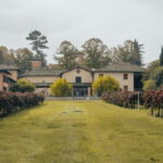 Castelvetro: winery tour and Lambrusco tasting - The Historic Winery of Castelvetro di Modena