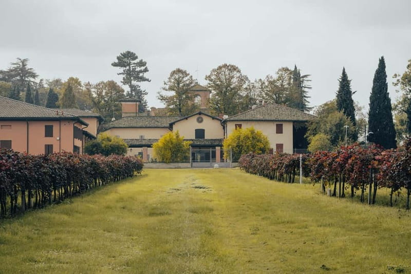 Castelvetro: winery tour and Lambrusco tasting - The Historic Winery of Castelvetro di Modena