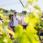 Castiglion Fiorentino: Buccelletti Wine Flight - The Unique Heritage of Buccelletti Winery