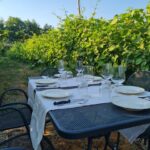 Castiglion Fiorentino: wine tasting with guided tour - Starting with Organic White Wines in the Tuscan Sun