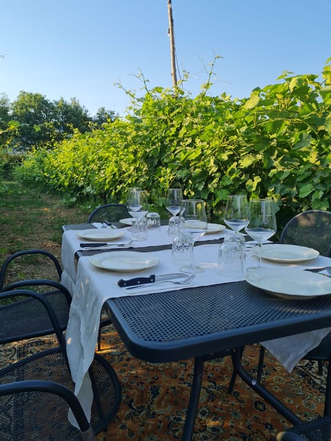 Castiglion Fiorentino: wine tasting with guided tour - Starting with Organic White Wines in the Tuscan Sun