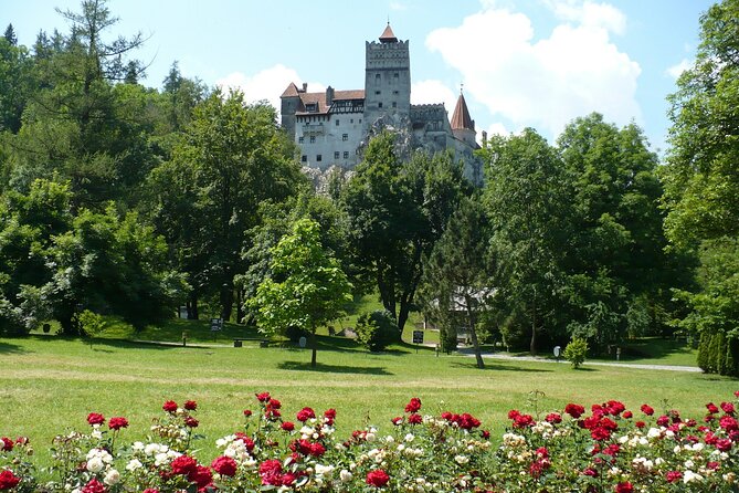 Castles Day Tour Peles - Bran - Rasnov from Brasov - Comfort and Convenience of the Private Tour