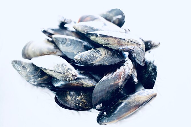 Catalan Paella Cooking Class with Small Group in Barcelona - What Youll Cook: Catalan Style Paella