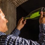 Catalonia: Unique, bespoke wine cellar visits - Journey from Barcelona or Sant Cugat del Vallès to Catalonia’s Wineries