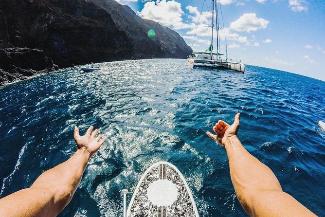 Catamaran Day Cruise to Desertas Islands from Funchal - Exploring the Desertas Islands and Their Wildlife