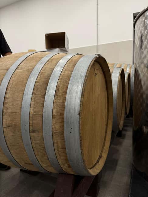 Catania: Etna Wine Tour and Culinary Experience - Inside the Wine Cellars of Mount Etna